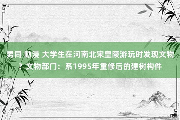 男同 動漫 大学生在河南北宋皇陵游玩时发现文物？文物部门：系1995年重修后的建树构件