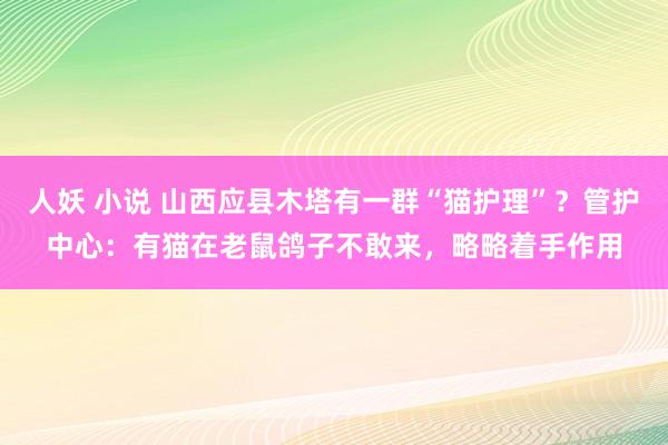 人妖 小说 山西应县木塔有一群“猫护理”？管护中心：有猫在老鼠鸽子不敢来，略略着手作用