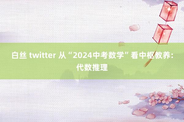 白丝 twitter 从“2024中考数学”看中枢教养:代数推理