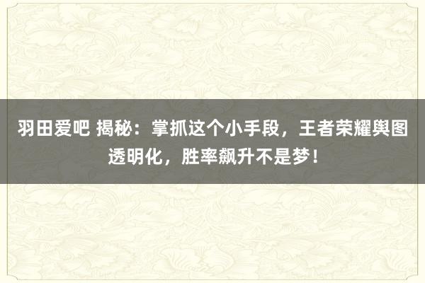 羽田爱吧 揭秘：掌抓这个小手段，王者荣耀舆图透明化，胜率飙升不是梦！