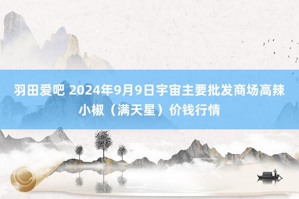 羽田爱吧 2024年9月9日宇宙主要批发商场高辣小椒（满天星）价钱行情