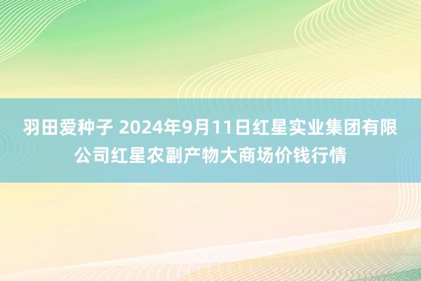 羽田爱种子 2024年9月11日红星实业集团有限公司红星农副产物大商场价钱行情