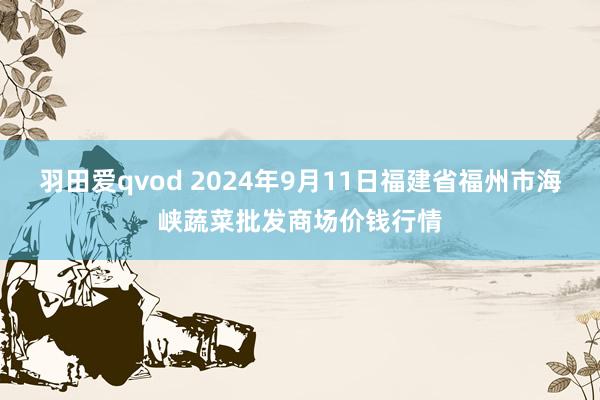 羽田爱qvod 2024年9月11日福建省福州市海峡蔬菜批发商场价钱行情