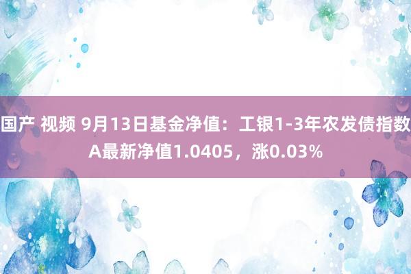 国产 视频 9月13日基金净值：工银1-3年农发债指数A最新净值1.0405，涨0.03%