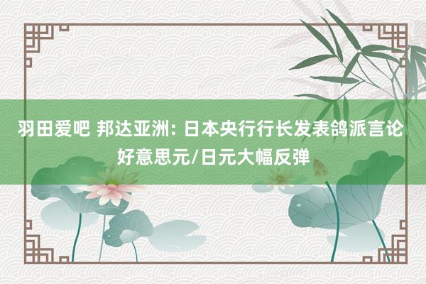 羽田爱吧 邦达亚洲: 日本央行行长发表鸽派言论 好意思元/日元大幅反弹