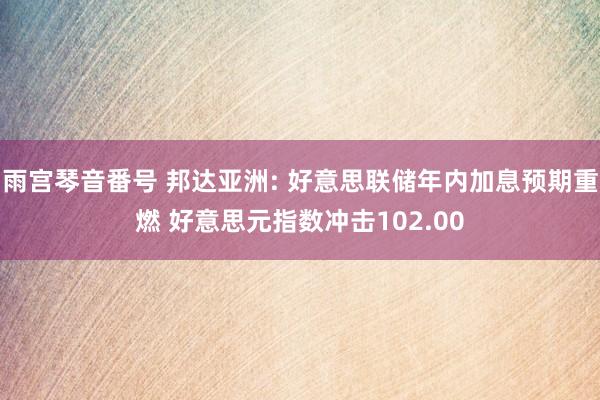 雨宫琴音番号 邦达亚洲: 好意思联储年内加息预期重燃 好意思元指数冲击102.00