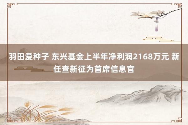 羽田爱种子 东兴基金上半年净利润2168万元 新任查新征为首席信息官