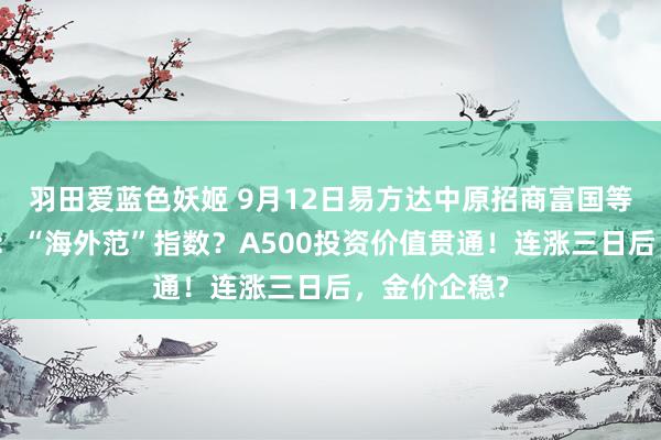 羽田爱蓝色妖姬 9月12日易方达中原招商富国等基金大咖说：“海外范”指数？A500投资价值贯通！连涨三日后，金价企稳?