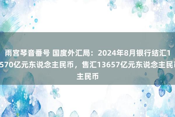 雨宫琴音番号 国度外汇局：2024年8月银行结汇13570亿元东说念主民币，售汇13657亿元东说念主民币