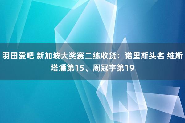 羽田爱吧 新加坡大奖赛二练收货：诺里斯头名 维斯塔潘第15、周冠宇第19