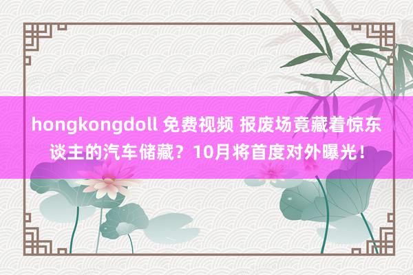 hongkongdoll 免费视频 报废场竟藏着惊东谈主的汽车储藏？10月将首度对外曝光！