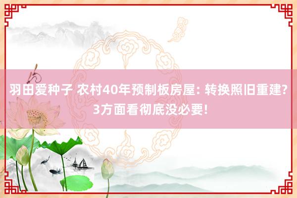 羽田爱种子 农村40年预制板房屋: 转换照旧重建? 3方面看彻底没必要!