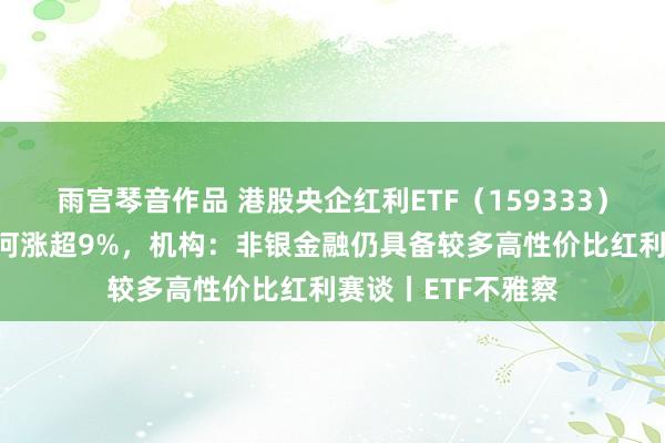 雨宫琴音作品 港股央企红利ETF（159333）涨近4%，中国星河涨超9%，机构：非银金融仍具备较多高性价比红利赛谈丨ETF不雅察