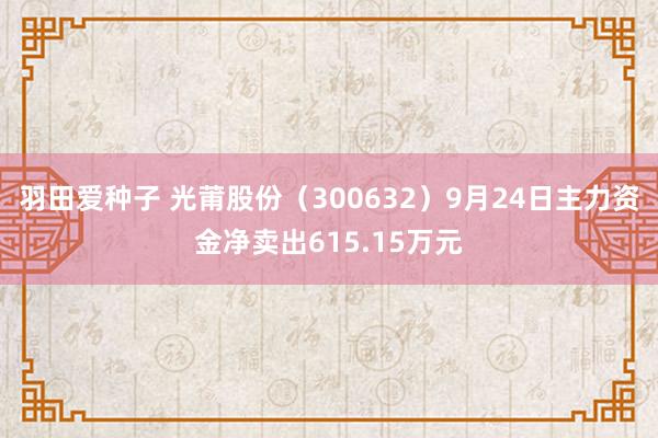 羽田爱种子 光莆股份（300632）9月24日主力资金净卖出615.15万元