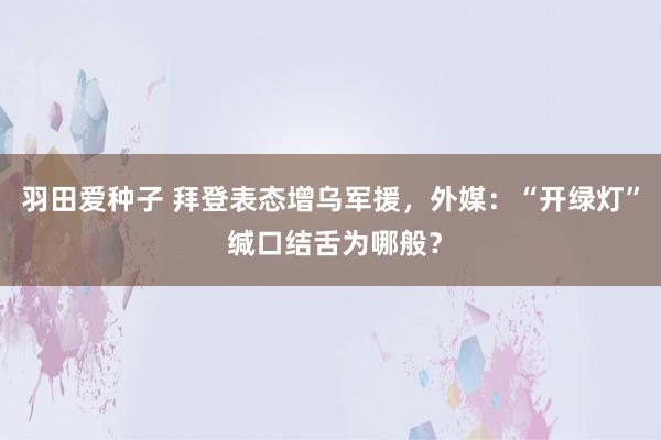 羽田爱种子 拜登表态增乌军援，外媒：“开绿灯” 缄口结舌为哪般？