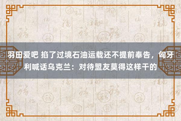 羽田爱吧 掐了过境石油运载还不提前奉告，匈牙利喊话乌克兰：对待盟友莫得这样干的