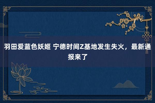 羽田爱蓝色妖姬 宁德时间Z基地发生失火，最新通报来了