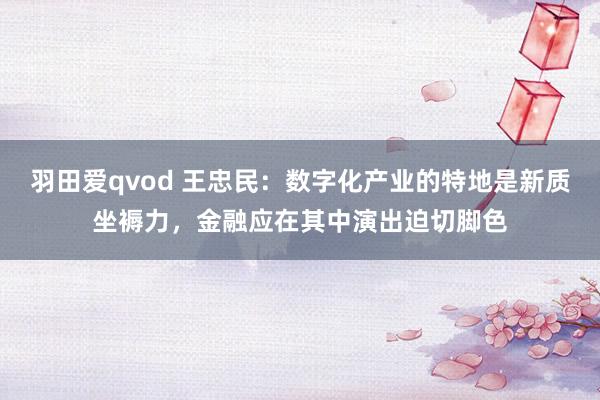 羽田爱qvod 王忠民：数字化产业的特地是新质坐褥力，金融应在其中演出迫切脚色