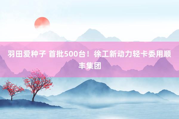 羽田爱种子 首批500台！徐工新动力轻卡委用顺丰集团