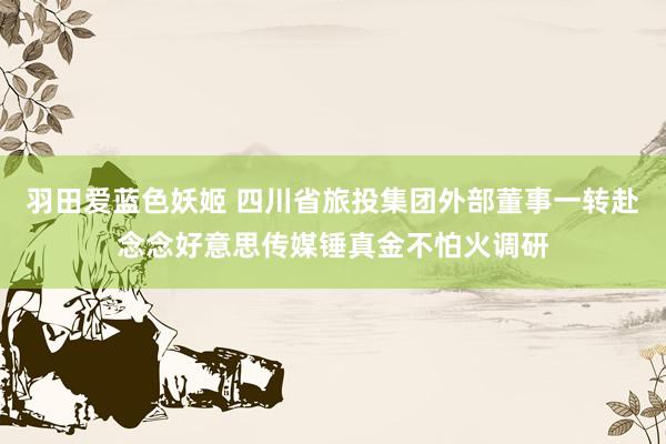 羽田爱蓝色妖姬 四川省旅投集团外部董事一转赴念念好意思传媒锤真金不怕火调研