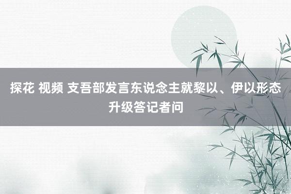 探花 视频 支吾部发言东说念主就黎以、伊以形态升级答记者问