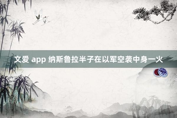 文爱 app 纳斯鲁拉半子在以军空袭中身一火