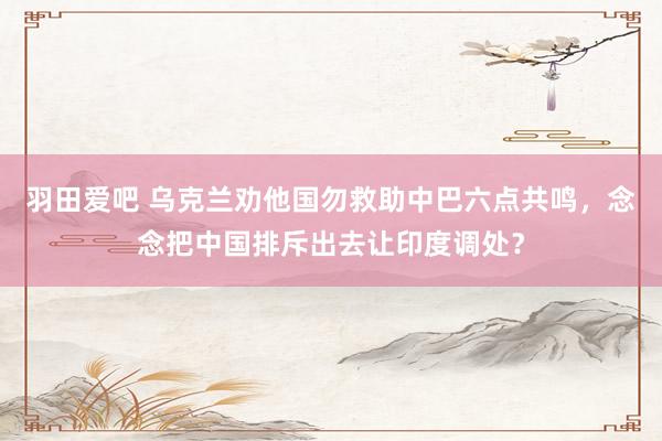 羽田爱吧 乌克兰劝他国勿救助中巴六点共鸣，念念把中国排斥出去让印度调处？