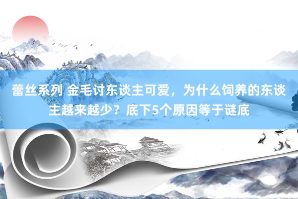 蕾丝系列 金毛讨东谈主可爱，为什么饲养的东谈主越来越少？底下5个原因等于谜底