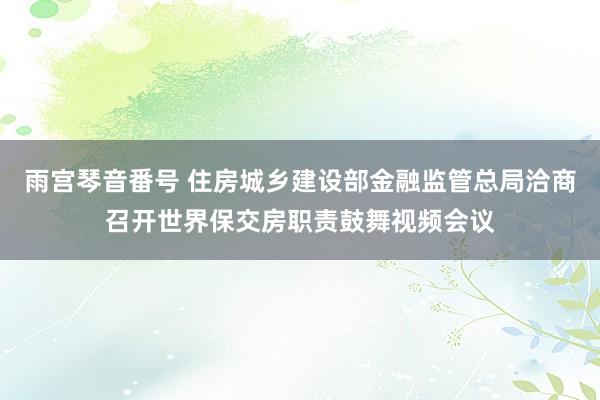 雨宫琴音番号 住房城乡建设部金融监管总局洽商召开世界保交房职责鼓舞视频会议