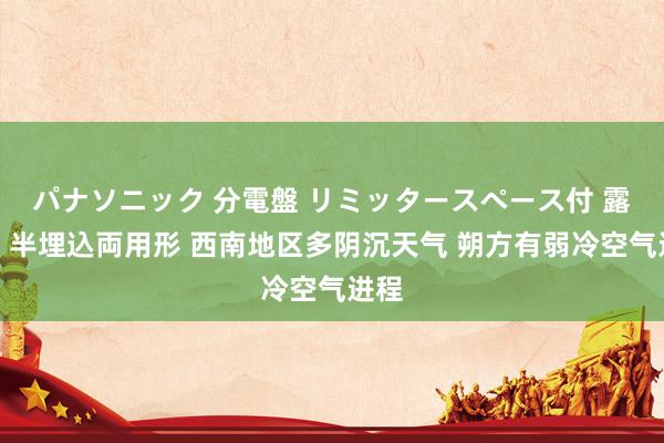 パナソニック 分電盤 リミッタースペース付 露出・半埋込両用形 西南地区多阴沉天气 朔方有弱冷空气进程