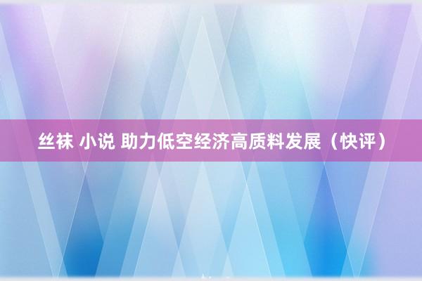 丝袜 小说 助力低空经济高质料发展（快评）