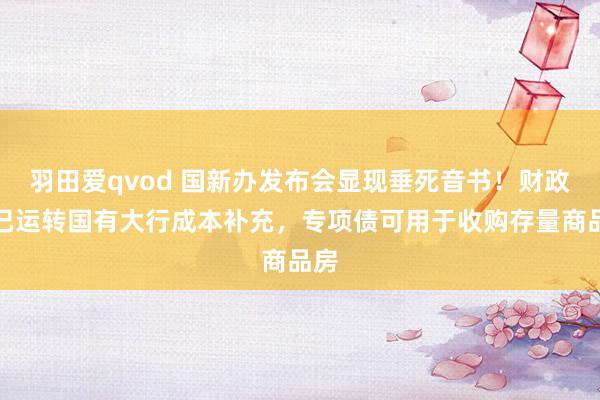 羽田爱qvod 国新办发布会显现垂死音书！财政部已运转国有大行成本补充，专项债可用于收购存量商品房