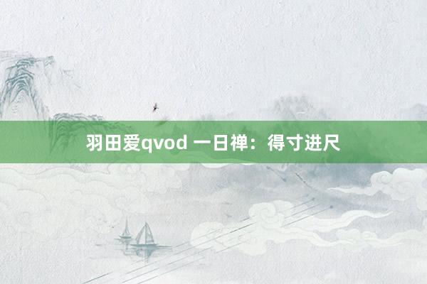 羽田爱qvod 一日禅：得寸进尺