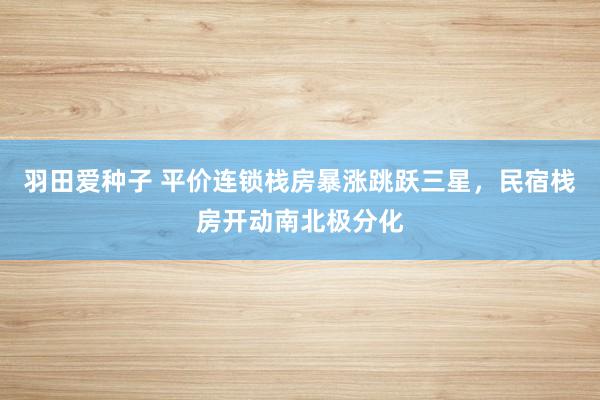 羽田爱种子 平价连锁栈房暴涨跳跃三星，民宿栈房开动南北极分化