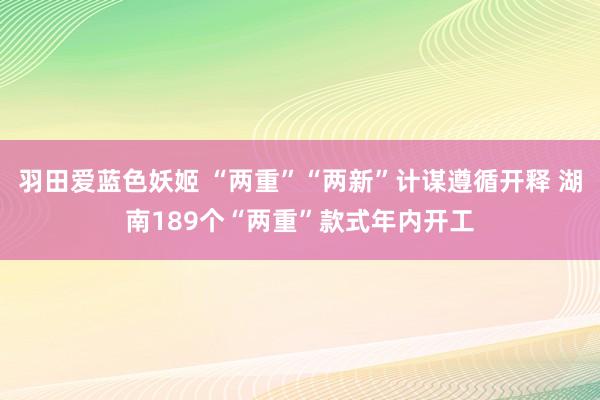 羽田爱蓝色妖姬 “两重”“两新”计谋遵循开释 湖南189个“两重”款式年内开工