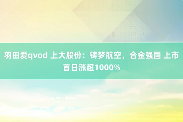 羽田爱qvod 上大股份：铸梦航空，合金强国 上市首日涨超1000%