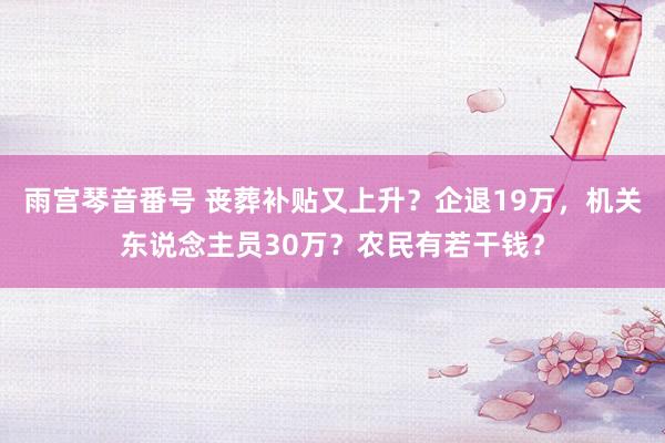 雨宫琴音番号 丧葬补贴又上升？企退19万，机关东说念主员30万？农民有若干钱？