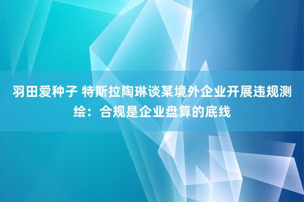 羽田爱种子 特斯拉陶琳谈某境外企业开展违规测绘：合规是企业盘算的底线