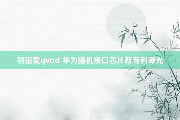 羽田爱qvod 华为脑机接口芯片新专利曝光