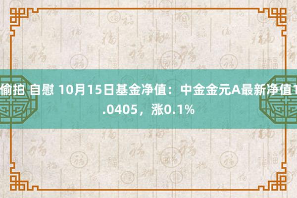 偷拍 自慰 10月15日基金净值：中金金元A最新净值1.0405，涨0.1%