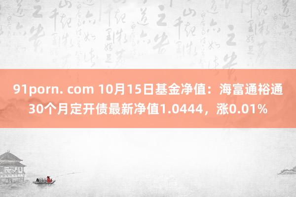 91porn. com 10月15日基金净值：海富通裕通30个月定开债最新净值1.0444，涨0.01%