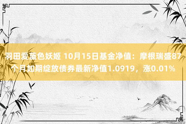 羽田爱蓝色妖姬 10月15日基金净值：摩根瑞盛87个月如期绽放债券最新净值1.0919，涨0.01%