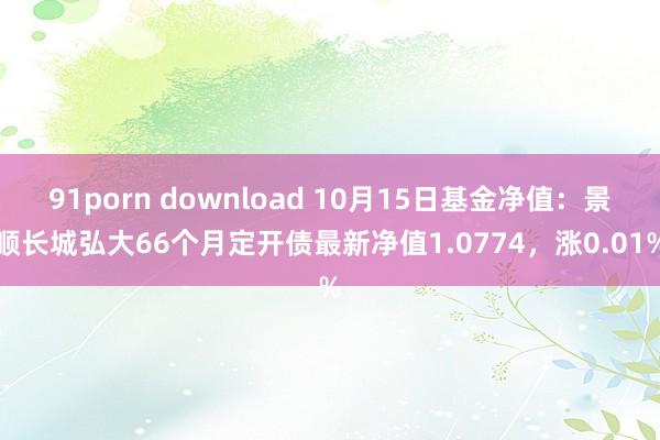 91porn download 10月15日基金净值：景顺长城弘大66个月定开债最新净值1.0774，涨0.01%