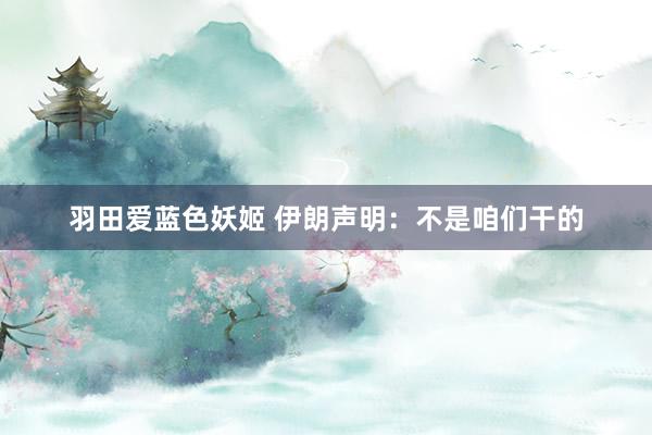 羽田爱蓝色妖姬 伊朗声明：不是咱们干的