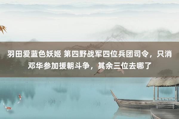 羽田爱蓝色妖姬 第四野战军四位兵团司令，只消邓华参加援朝斗争，其余三位去哪了