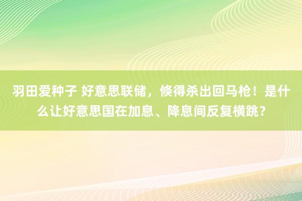 羽田爱种子 好意思联储，倏得杀出回马枪！是什么让好意思国在加息、降息间反复横跳？