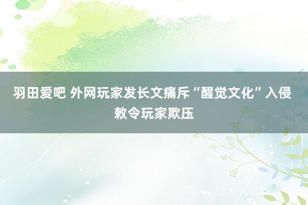 羽田爱吧 外网玩家发长文痛斥“醒觉文化”入侵 敕令玩家欺压