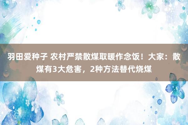 羽田爱种子 农村严禁散煤取暖作念饭！大家：散煤有3大危害，2种方法替代烧煤