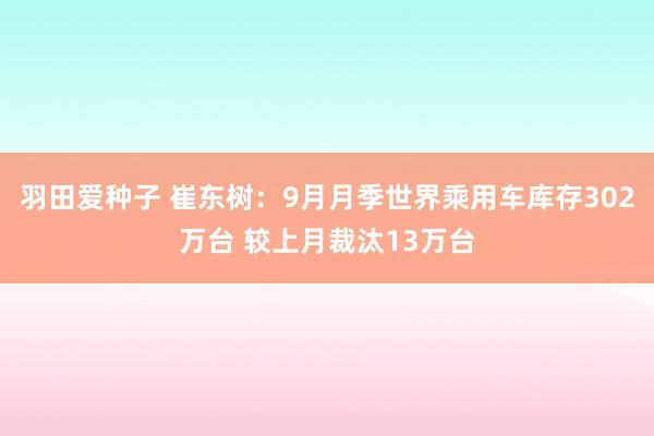 羽田爱种子 崔东树：9月月季世界乘用车库存302万台 较上月裁汰13万台