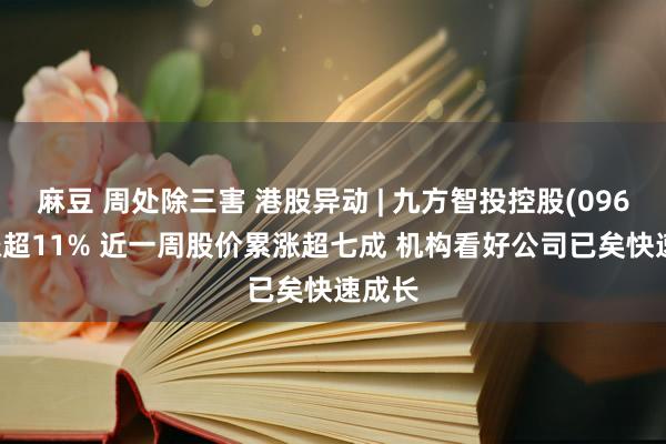 麻豆 周处除三害 港股异动 | 九方智投控股(09636)涨超11% 近一周股价累涨超七成 机构看好公司已矣快速成长